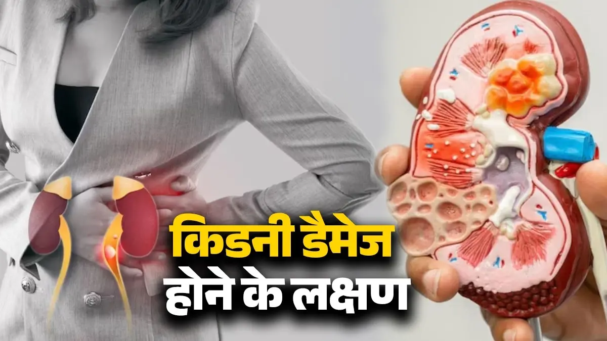 Kidney Health Tips: आपकी ये आम आदतें चुपचाप किडनी को कर रही हैं डैमेज, आज ही बदलें; रहेंगे हेल्दी और फिट kidney-health-tips-common-habits-silently-damaging-kidneys healthy body
