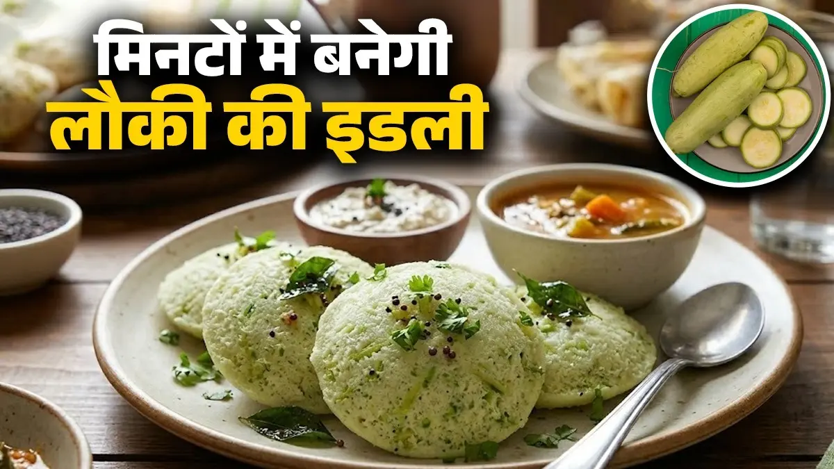 Lauki Ki Idli Recipe: नाश्ते में बनाएं लौकी की टेस्टी इडली, खाते ही चाटते रह जाएंगे उंगलियां; नोट करें विधि lauki ki idli recipe for breakfast bottle gourd sooji idli making south Indian light healthy dish