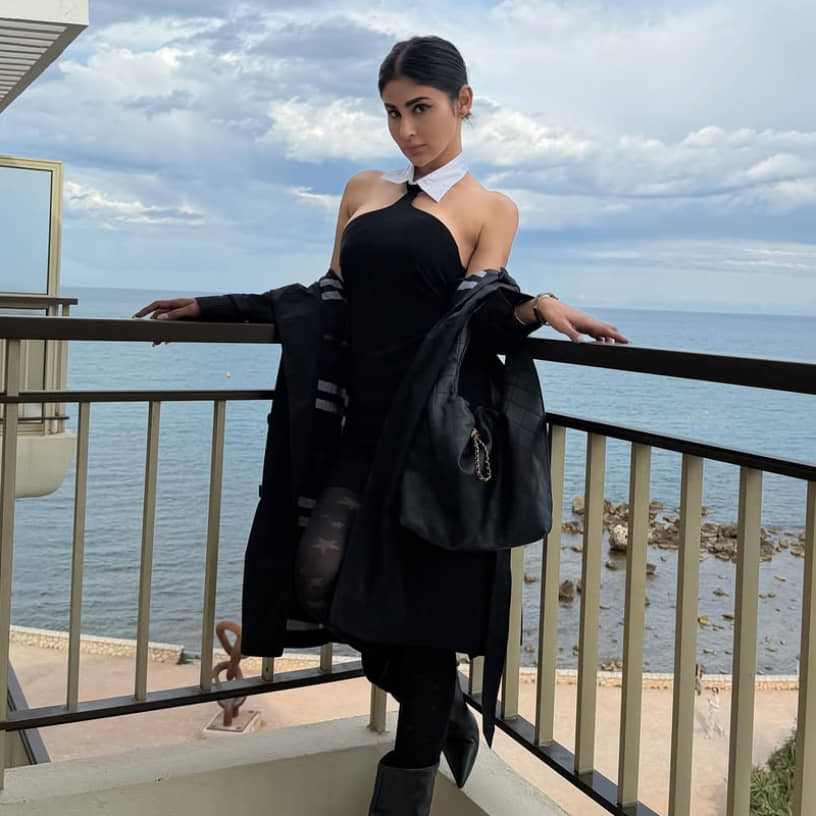 Description of the pic