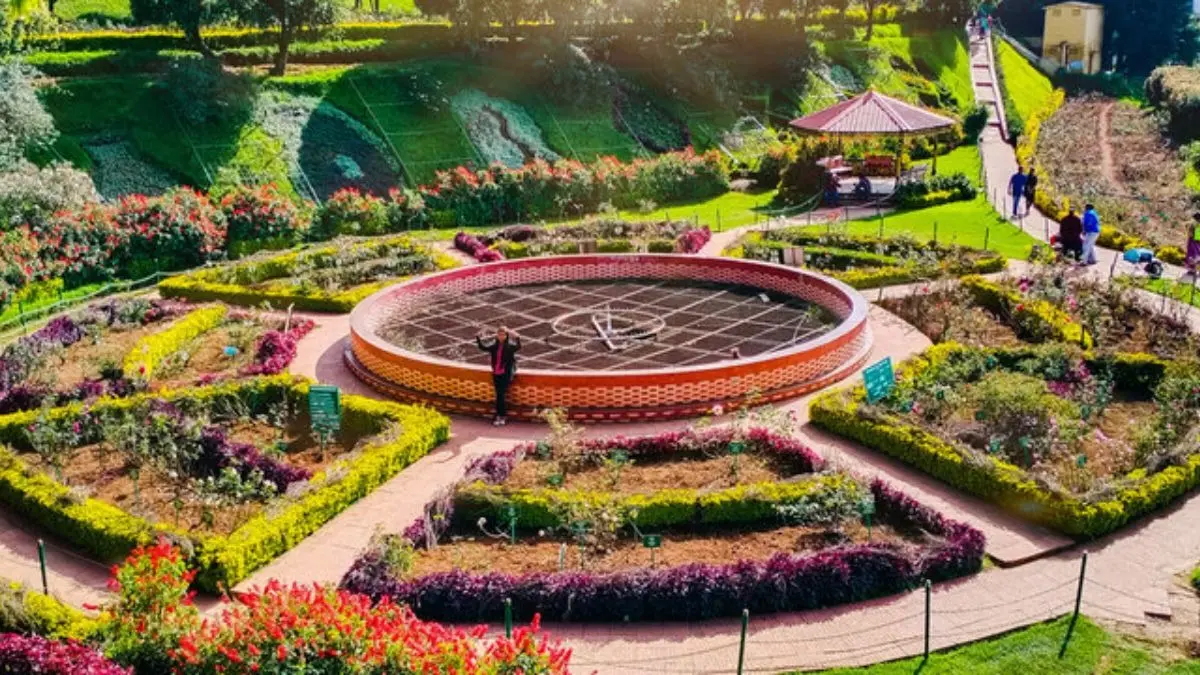Ooty Summer Festival 2026: Date, Time, Ticket Prices And Everything You Need To Know Ooty Summer Festival