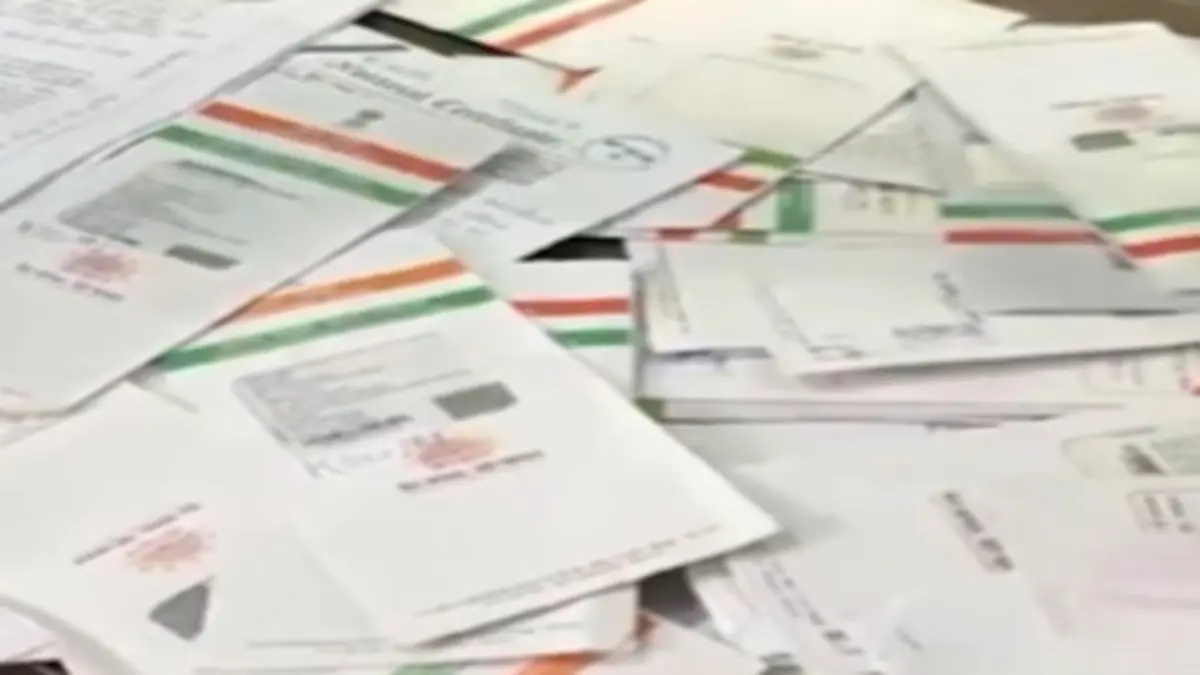 Over 100 Aadhaar, Voter Cards Allegedly Found At TMC Office In Bidhannagar, BJP Leader Claims Over 100 Aadhaar, Voter Cards Allegedly Found At TMC Office In Bidhannagar, BJP Leader Claims