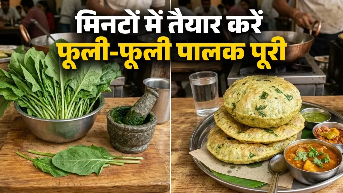 Palak Ki Puri Reciep: सिर्फ 5 मिनट में बनाएं हलवाई जैसी खस्ता पालक पूरी, एक खास ट्रिक से फूलेगी गुब्बारे जैसी, आसान विधि Palak Ki Puri Recipe