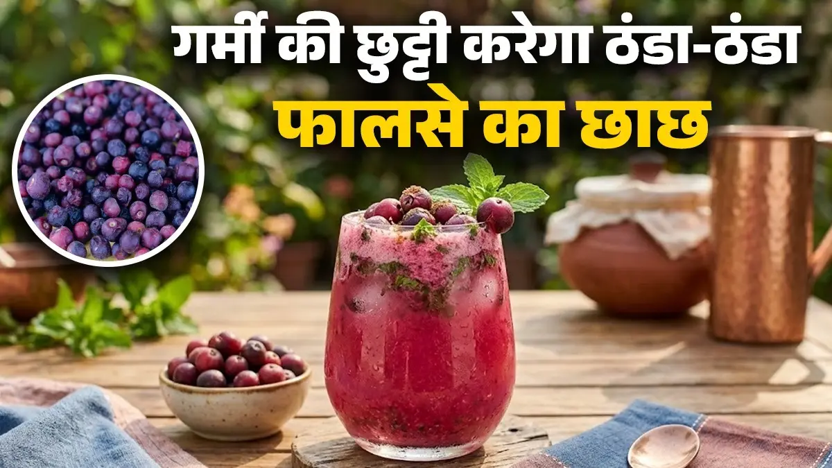 Phalsa Chaach Drink For Summer: गर्मी में शरीर को एनर्जी देने का काम करेगा फालसे का ठंडा-ठंडा छाछ, मिनटों में लू की होगी छुट्टी phalsa chaach drink for summer cooling drink recipe energy booster