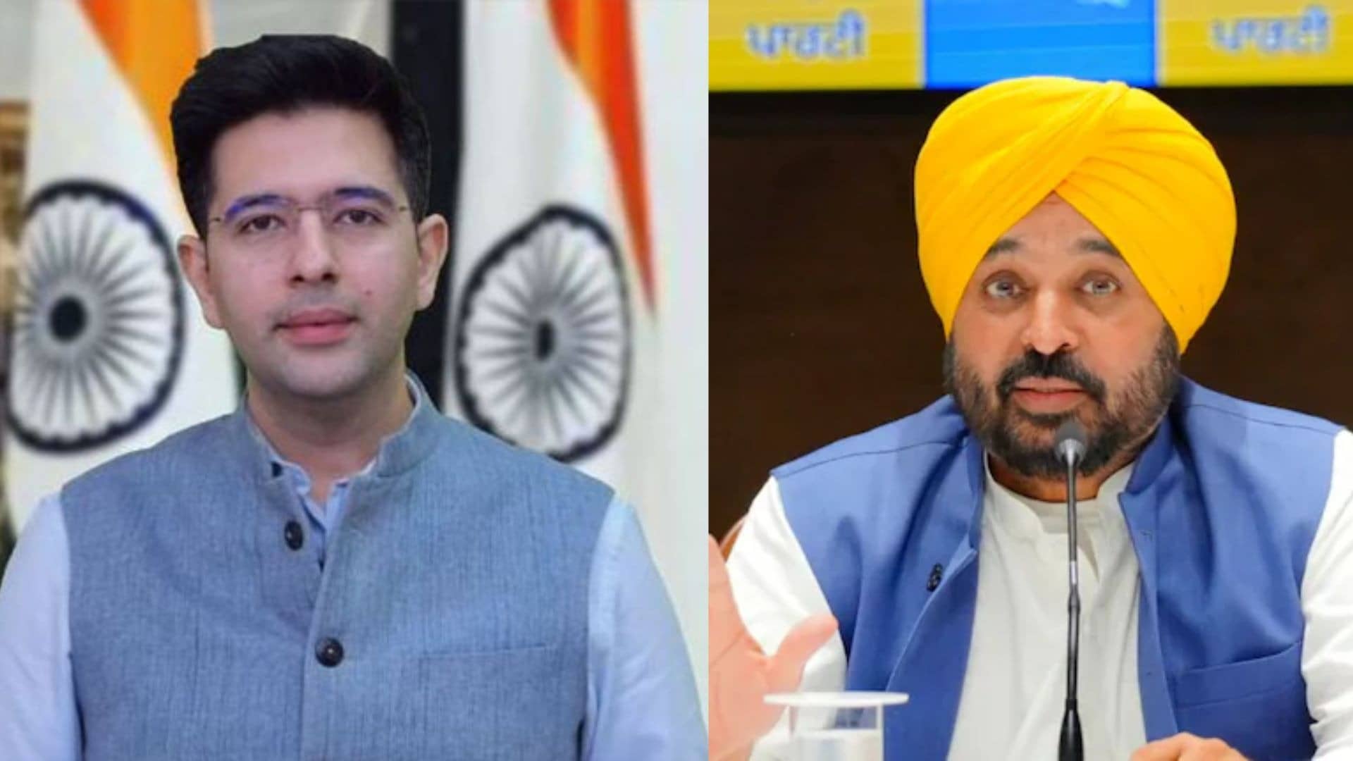 Raghav Chadha- Bhagwant Mann