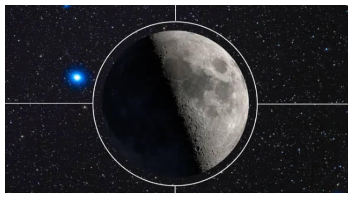 regalus