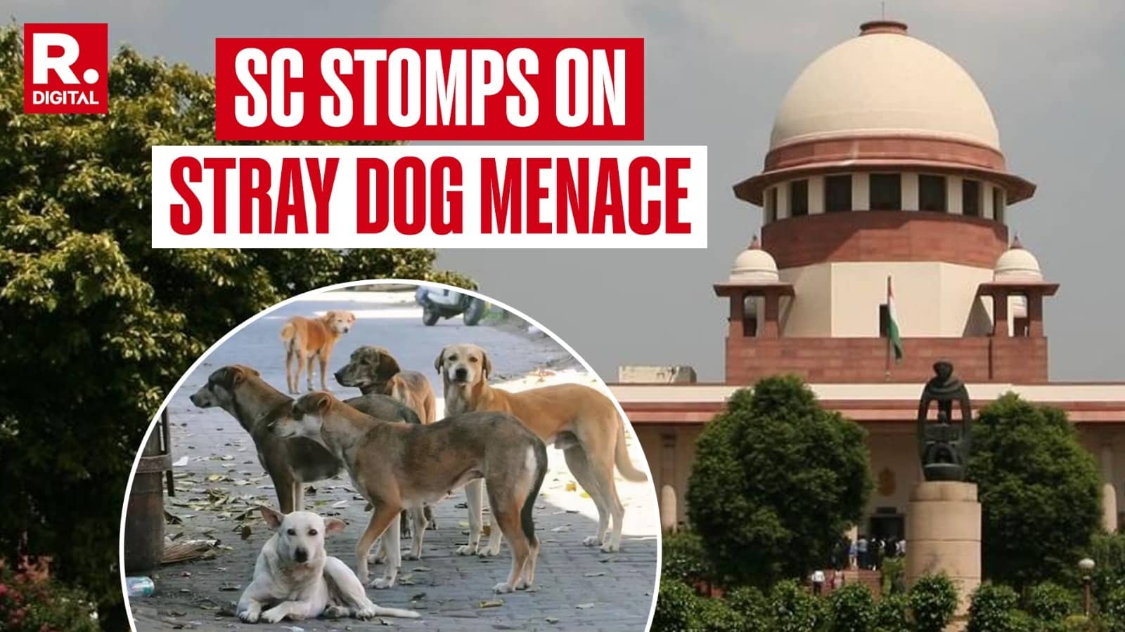 'Right To Live Without Fear': Supreme Court Unveils Landmark Verdict On Stray Dog Menace, Bars Re-entry In Public Places
