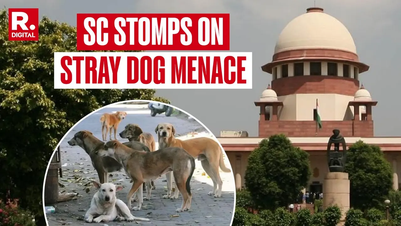 'Public Safety Above Animal Rights': SC Cracks Down on Stray Dog Menace, Pulls Up States, UTs Over 'Failure' To Tackle Crisis 'Right To Live Without Fear': Supreme Court Unveils Landmark Verdict On Stray Dog Menace, Bars Re-entry In Public Places