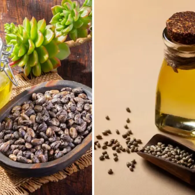 Rosemary vs Castor Oil