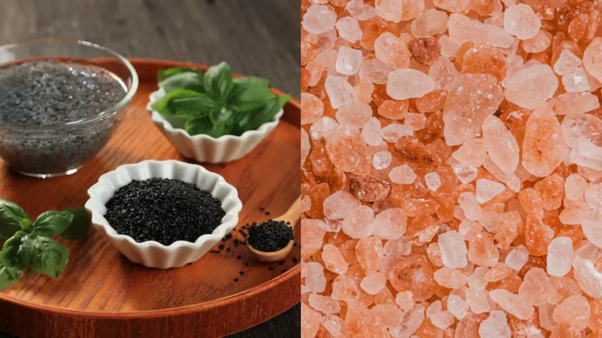 Sabja Seeds Or Gond Katira, Which Is Better To Beat The Summer Heat? Sabja Seeds Or Gond Katira