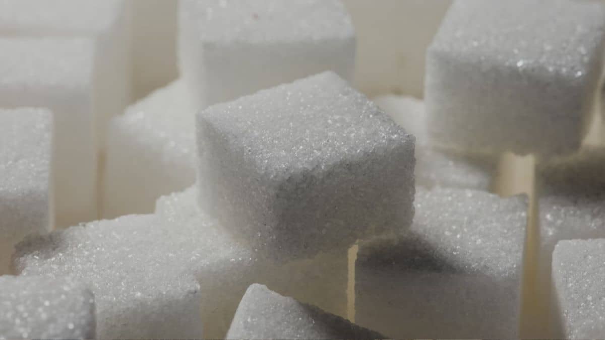 Sugar Stocks In Focus