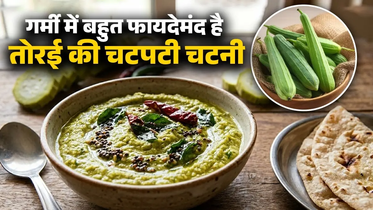 Torai Ki Chutney Recipe: गर्मी में कई तरह से फायदेमंद है तोरई की चटपटी चटनी, रोटी-चावल सबके साथ लगेगी बेस्ट; कुछ ही मिनटों में होगी तैयार torai ki chutney recipe turai ki chutney for summer health benefits cooling stomach ridge gourd