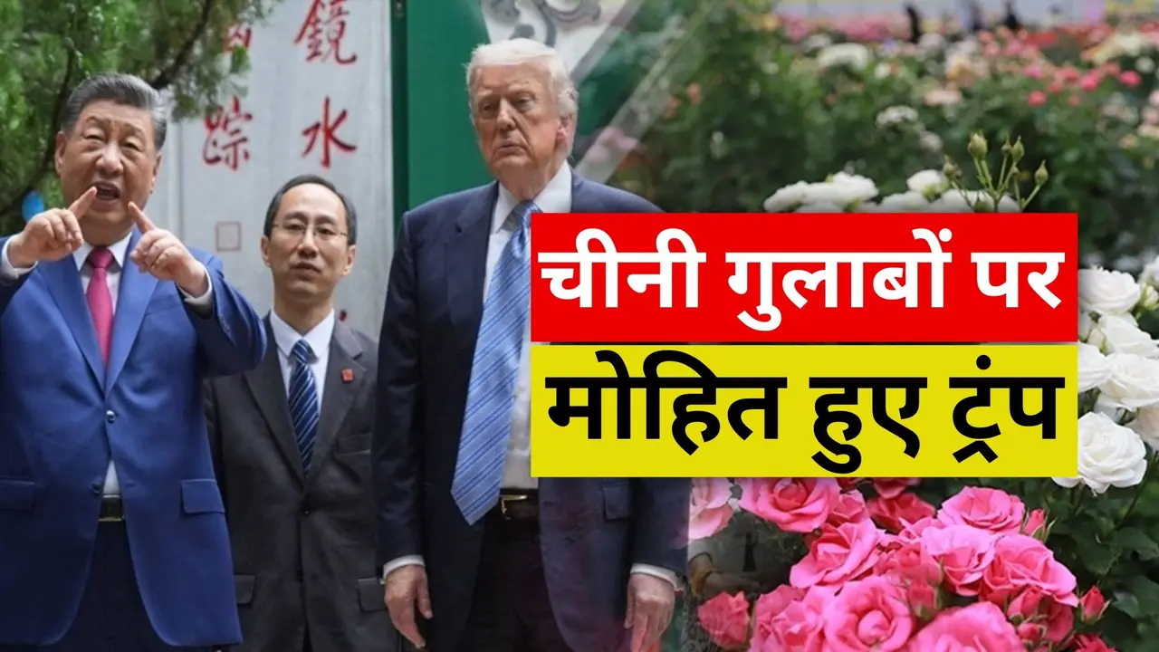 जिनपिंग के गार्डन में चीनी गुलाबों पर आया ट्रंप का दिल, व्हाइट हाउस के लिए गिफ्ट के तौर पर लिया बीज; तारीफ में कही ये बात Trump-Xi Meeting