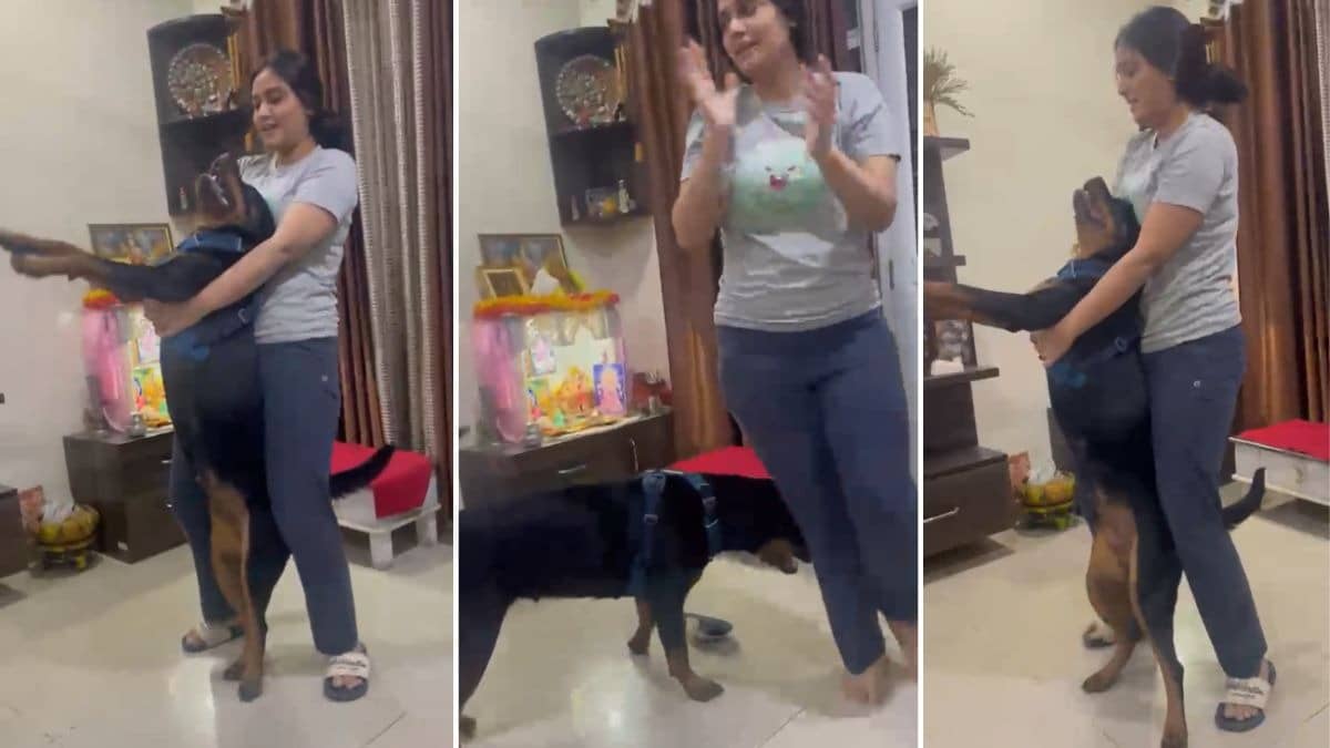 Twisha Sharma Video 