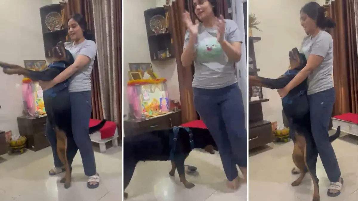 Twisha Video: ट्विशा शर्मा का नया वीडियो आया सामने, भोपाल कोर्ट ने दोबारा पोस्टमार्टम की अर्जी की खारिज; जानें अभी तक केस में क्या-क्या हुआ? Twisha Sharma Video