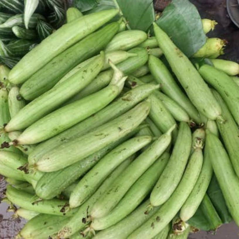 तस्वीर का विवरण