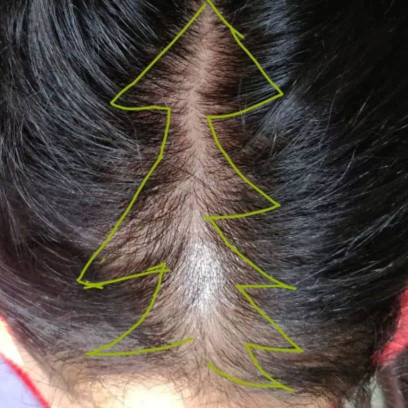 तस्वीर का विवरण