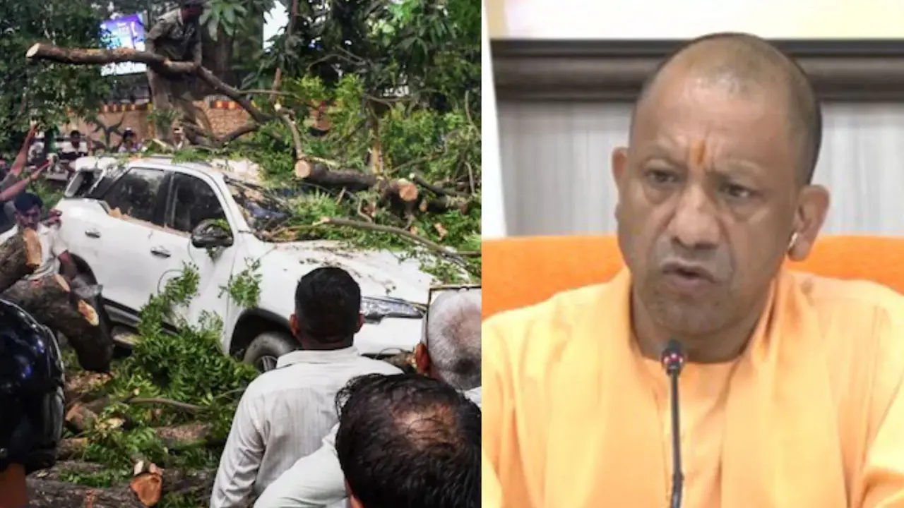 कहीं उखड़े पेड़, कहीं गिरी दीवारें... UP में आंधी-तूफान ने मचाई भारी तबाही, करीब 100 लोगों की मौतें; CM योगी ने दिए ये निर्देश UP Storm Deaths