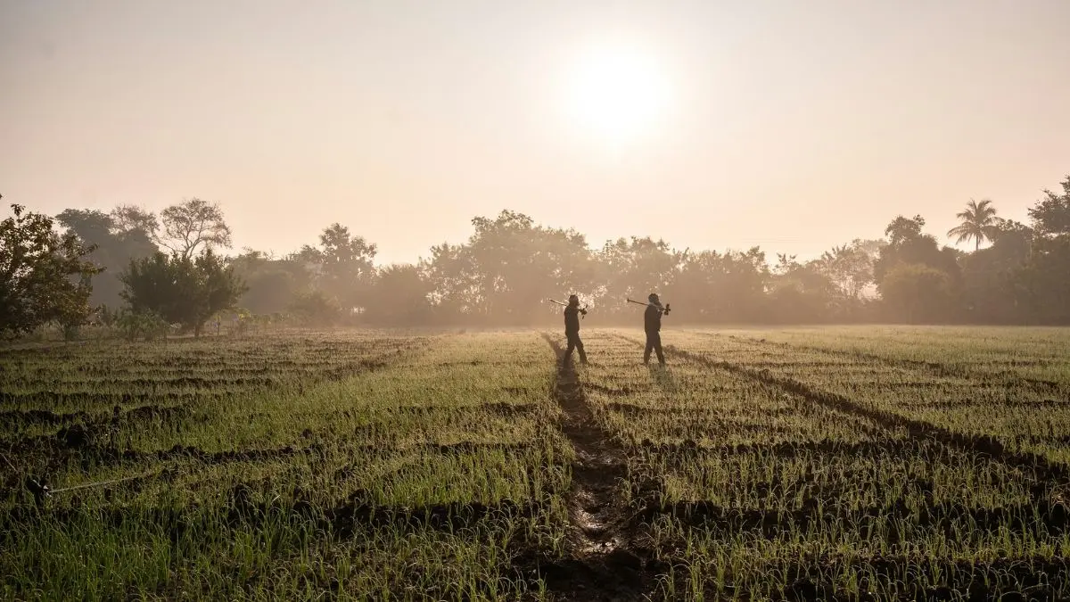 VB-G RAM G Set To Replace MGNREGA From July 1 - Check Key Details VB-G RAM G will replace MGNREGA from July 1, 2026.
