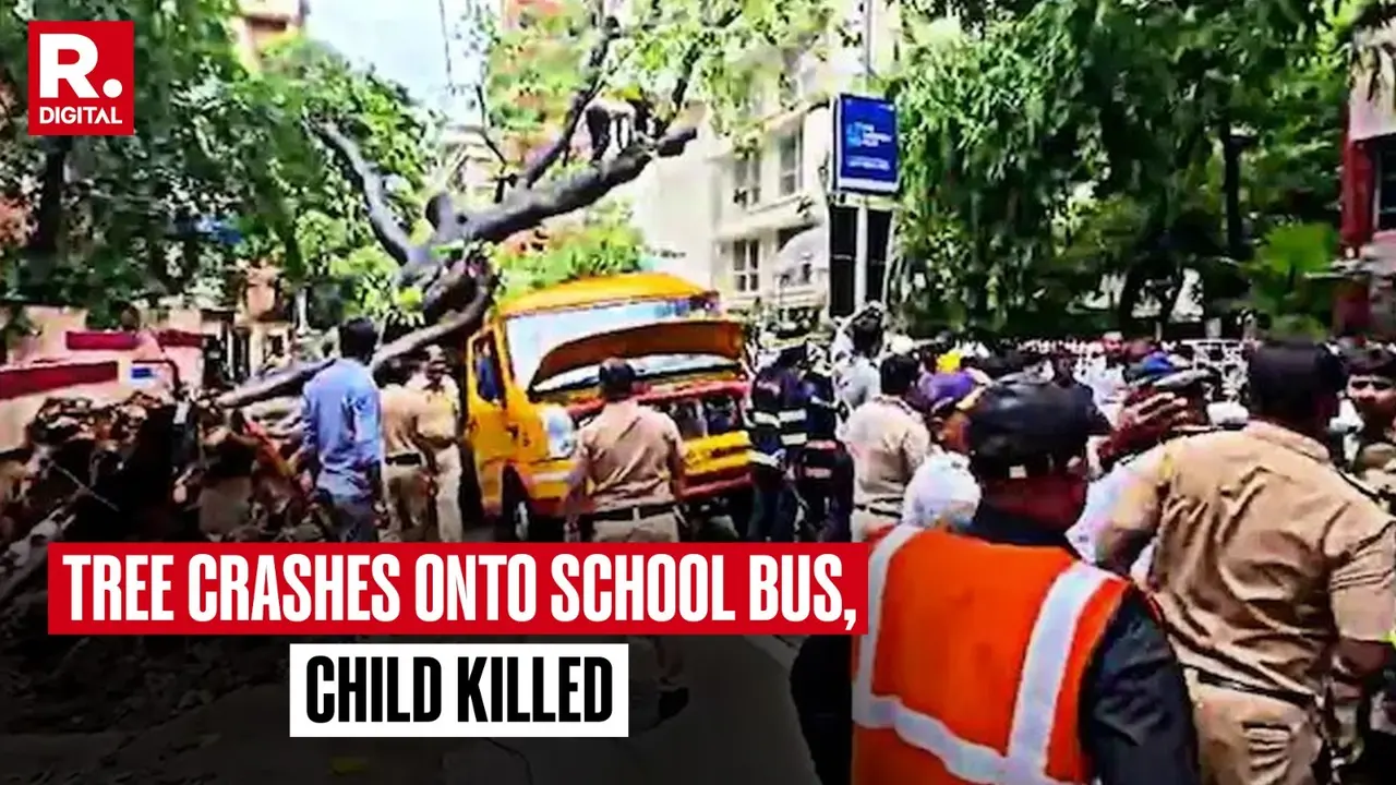 11-Year-Old Boy Killed As Tree Collapses On Mumbai School Bus 11-Year-Old Boy Killed As Tree Collapses On Mumbai School Bus