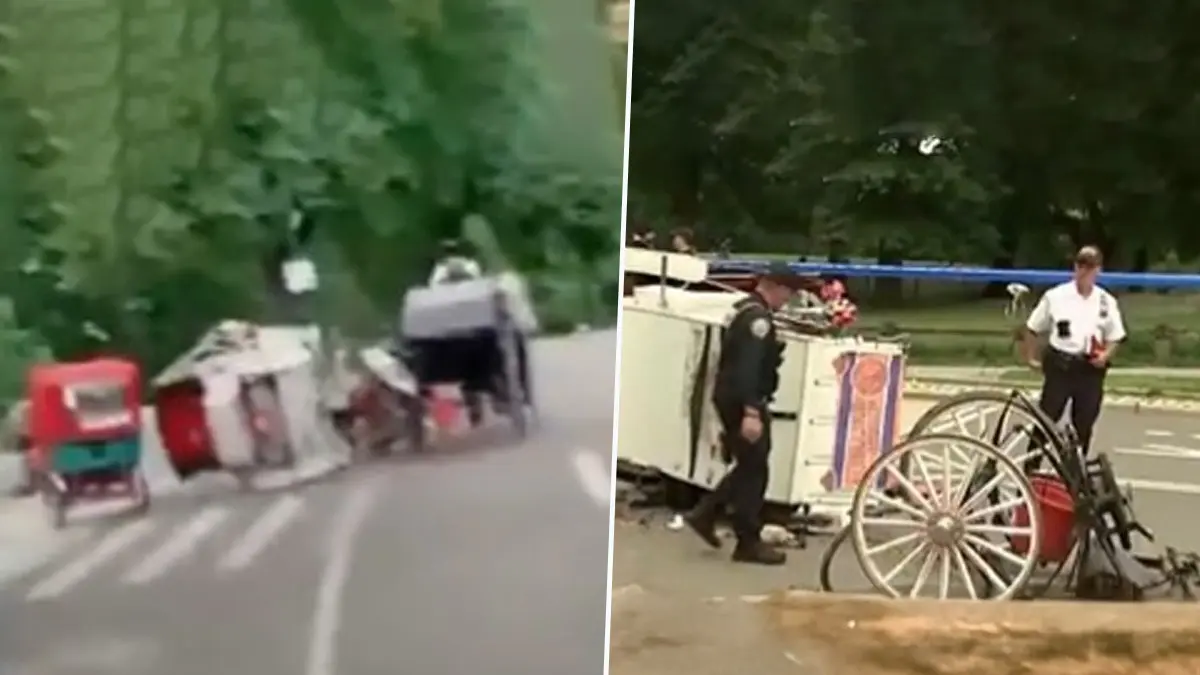 18-Year-Old Indian Tourist Killed in New York’s Central Park After Horse-Drawn Carriage Overturns 18-Year-Old Indian Tourist Killed in New York’s Central Park After Horse-Drawn Carriage Overturns