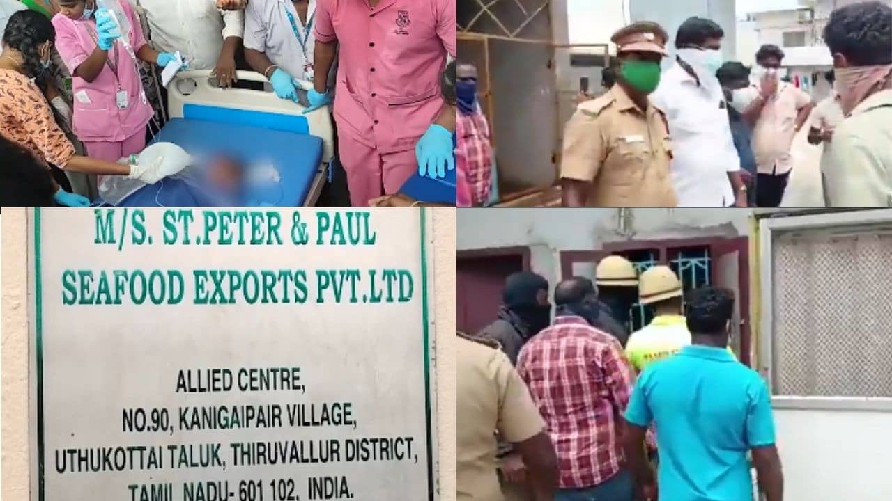 7 Women Dead, Over 60 Hospitalized in Tamil Nadu Seafood Factory Gas Leak