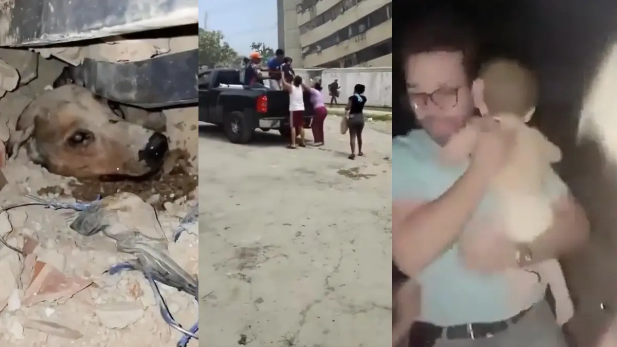 A Baby's Cry, A Mother's Hug, A Dog’s Whine: Venezuela's Most Heartbreaking Rescue Stories That Are Melting Hearts After Earthquake Horror A Baby's Cry, A Mother's Hug, A Dog’s Whine: Venezuela's Most Heartbreaking Rescue Stories That Are Melting Hearts After Earthquake Horror
