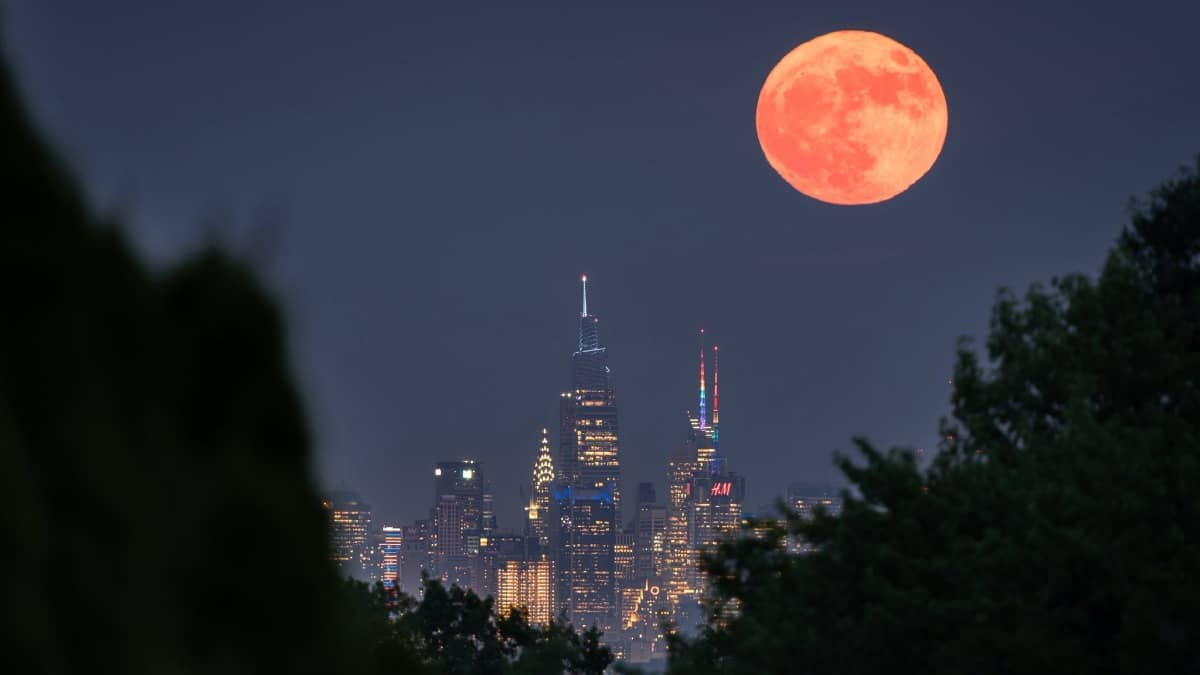 A crisp shot of the moon golden-amber as it sits just above a city skyline or a forest canopy.