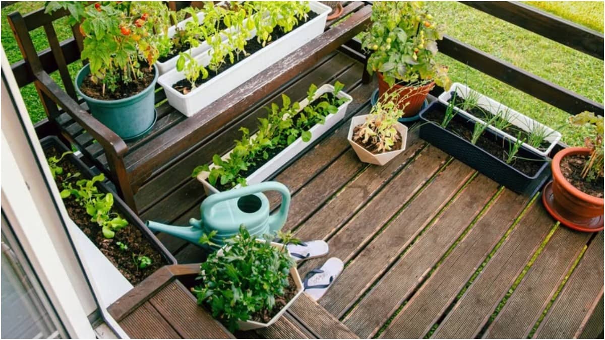 A garden in your balcony will elevate the look of your home 