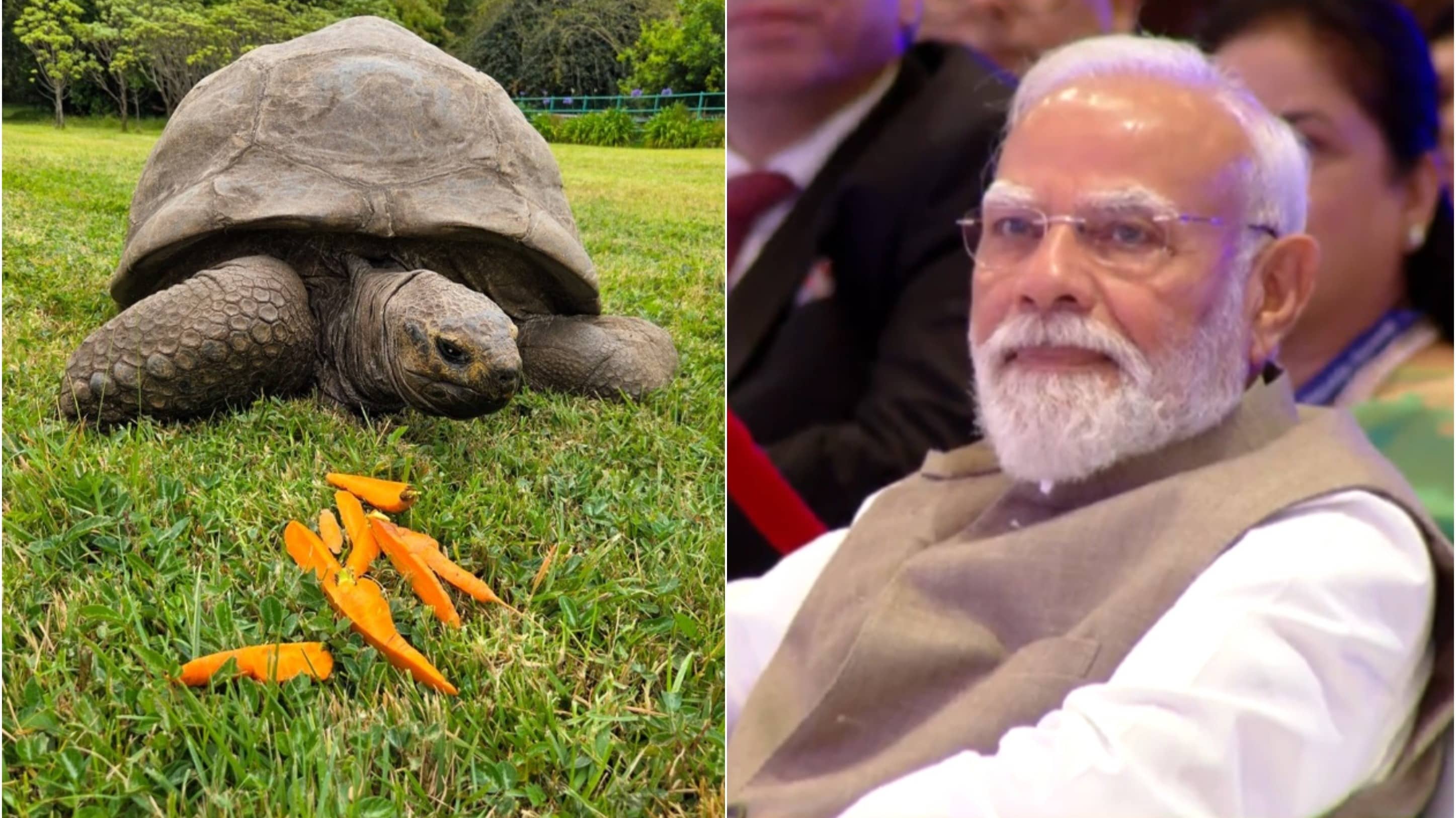 A Historic Encounter: PM Modi To Meet World’s Oldest Known Land Animal During Seychelles Visit