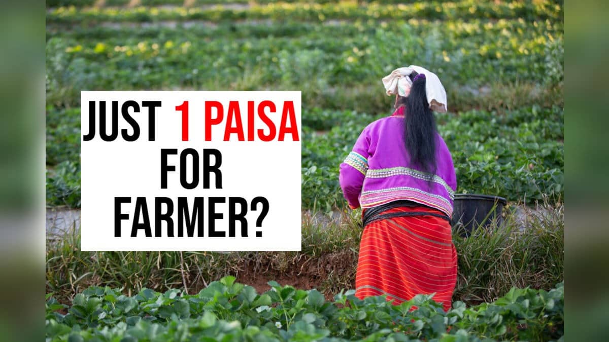 A Penny Mistake: Farmer Expecting Rs 2,000 Gets '1 Paisa' Under PM-Kisan Scheme, Govt Responds