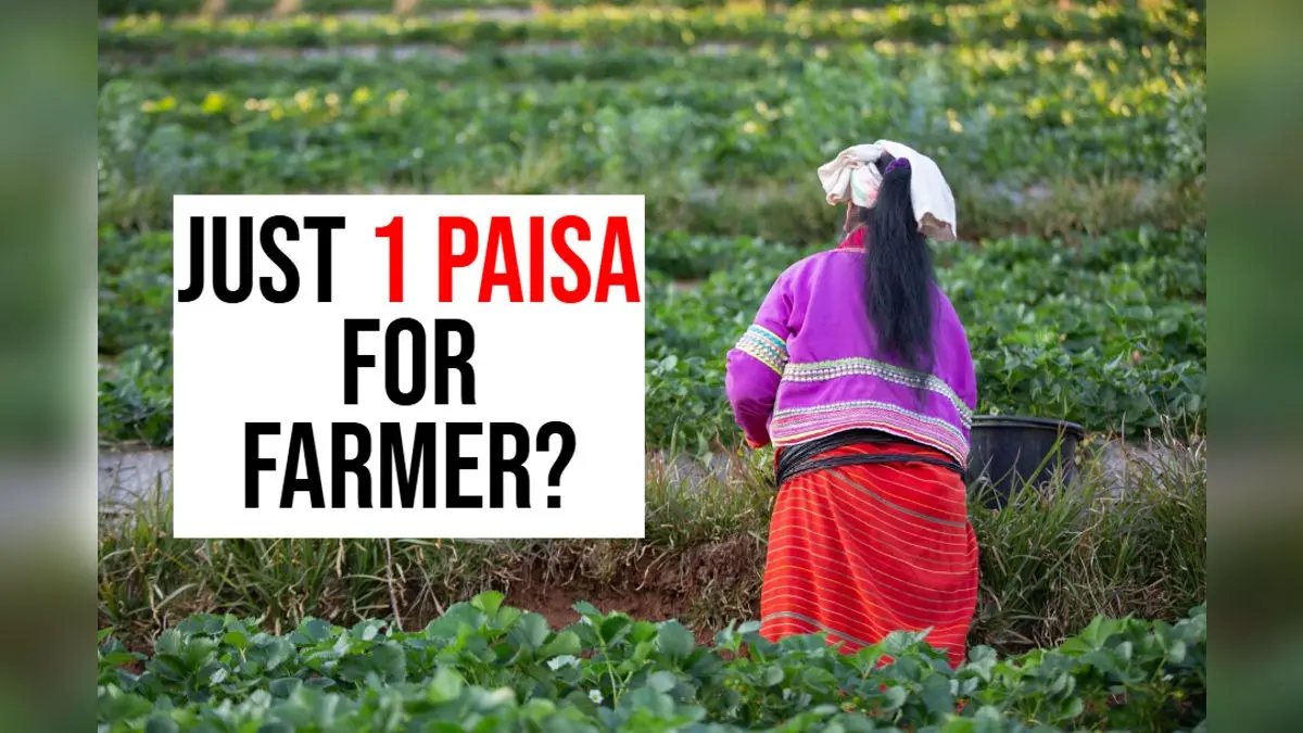 A Penny Mistake: Farmer Expecting Rs 2,000 Gets '1 Paisa' Under PM-Kisan Scheme, Govt Responds A Penny Mistake: Farmer Expecting Rs 2,000 Gets '1 Paisa' Under PM-Kisan Scheme, Govt Responds