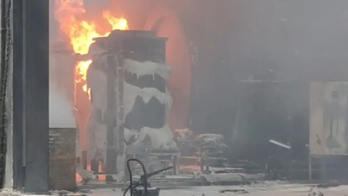 Anakapalli Horror: Massive Fire Hits Parawada Pharma Plant In Andhra Pradesh, 2 Workers Killed Andhra Pradesh: 2 Killed in Fire at Parawada Pharma Plant
