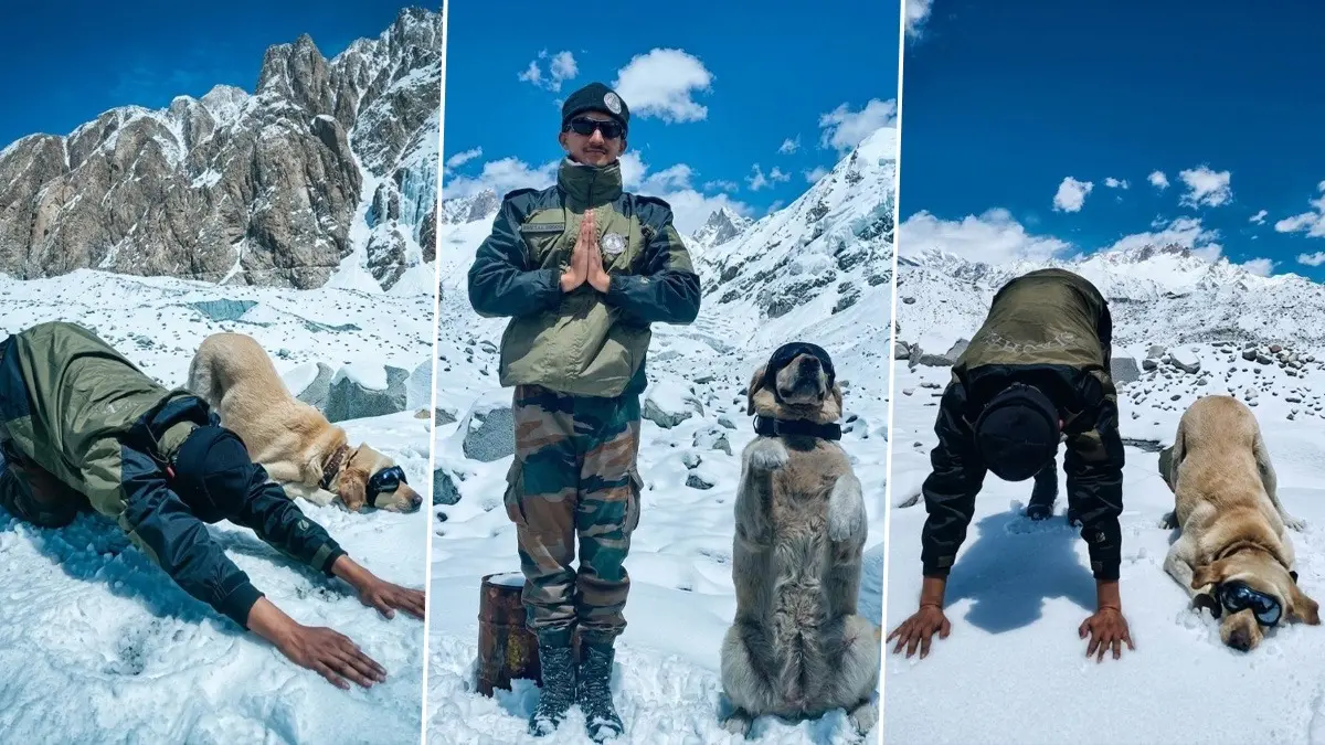 Army's Siachen Sniffer Dogs Strike Yoga Poses with Handlers in Sub-Zero Chill on World's Highest Battlefield | WATCH Army's Siachen Sniffer Dogs Strike Yoga Poses with Handlers in Sub-Zero Chill on World's Highest Battlefield