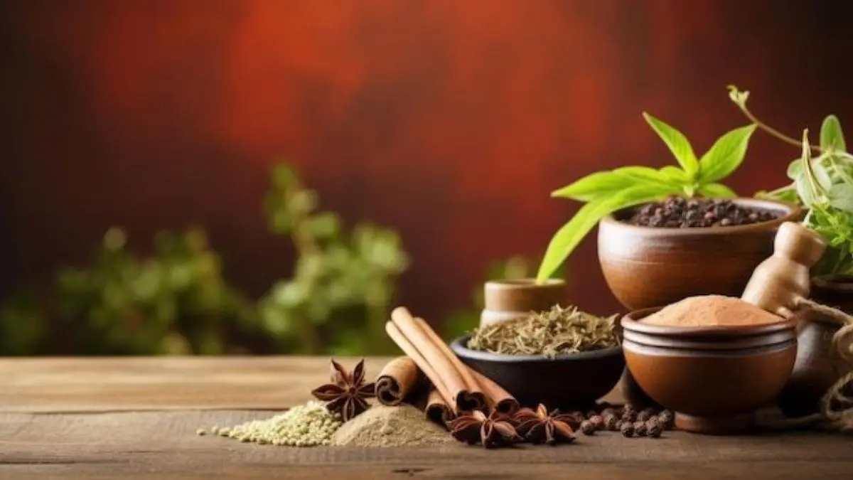 World Enviornment Day 2026: Expert Approved Ayurvedic Habits That Help Stay Healthy As Pollution Increases Ayurvedic practices to tackle pollution