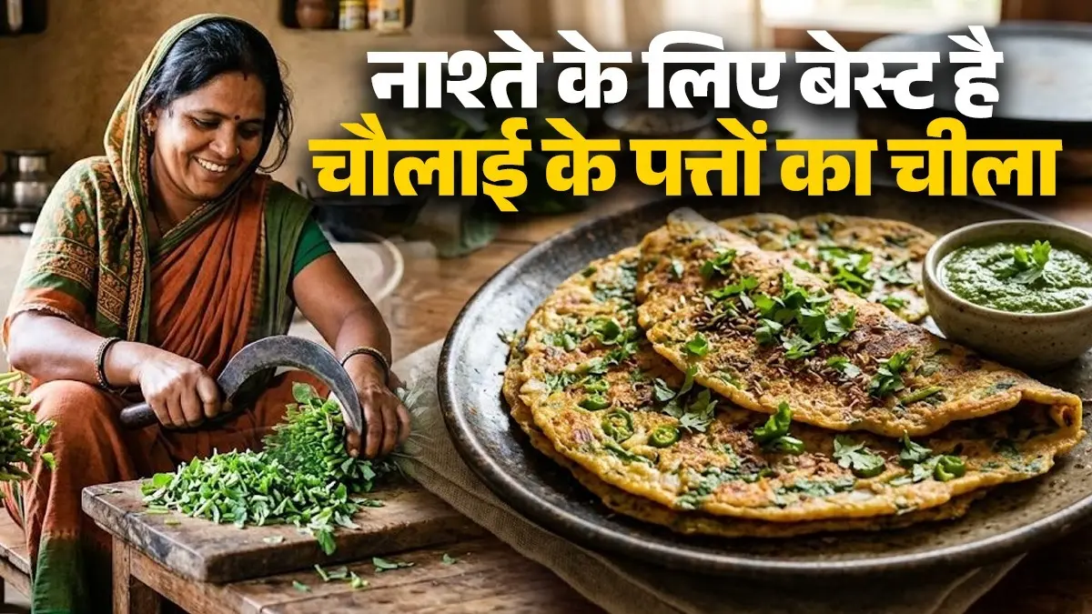 Chaulai Ka Chilla Recipe: खाने में टेस्टी और हेल्दी है चौलाई के पत्तों का चीला, बनाना भी है 10 मिनट का काम; नोट करें रेसिपी chaulai ka chilla recipe for healthy breakfast meal at home cheela re