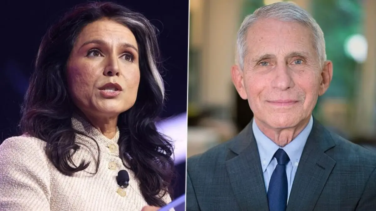 COVID Cover-Up? Tulsi Gabbard's Explosive Files Claim Dr Fauci Funded Secret Bat Virus Experiments In Wuhan, Buried Lab-Leak Proof COVID Conspiracy: Gabbard's Final Act Explodes the False Animal Origin Narrative, Implicating Fauci in Secret Bat Virus Experiments and a Deep-State Disinformation Campaign
