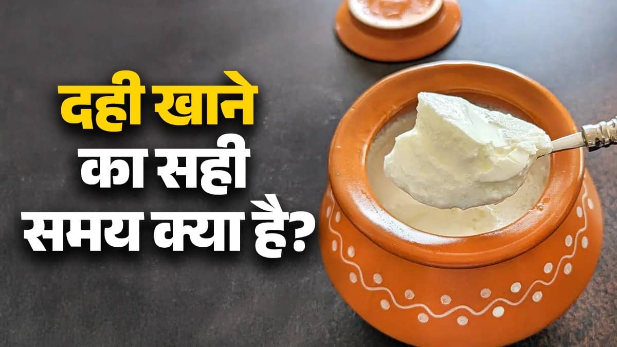 curd-eating-at-night health-benefits-and-disadvantages-know right time to eat