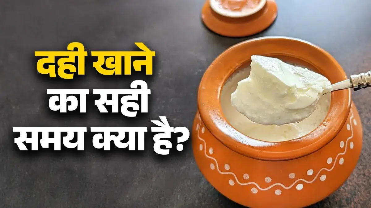 Curd Eating Tips: रात में दही खाना चाहिए या नहीं? जानिए इसके फायदे और नुकसान curd-eating-at-night health-benefits-and-disadvantages-know right time to eat