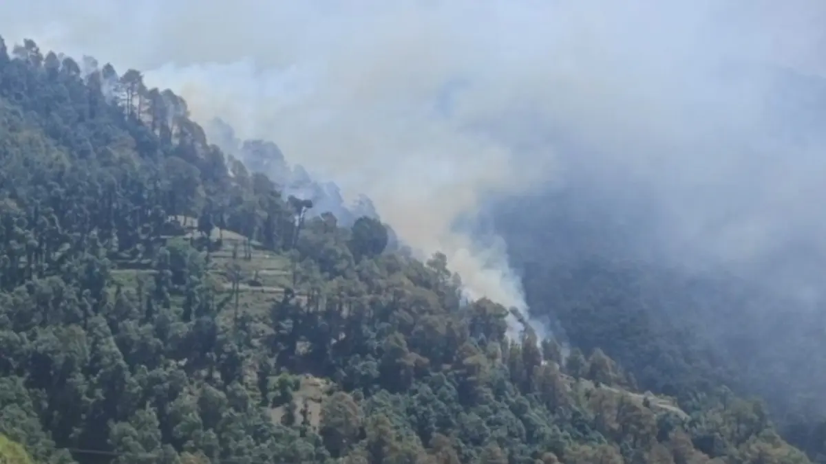 Forces Suspect 'Lavish, Well-Built Hideout' Inside Rajouri Forest As Anti-Terror Operation Enters Week 3 Forces Suspect 'Lavish, Well-Built Hideout' Inside Rajouri Forest As Anti-Terror Operation Enters Week 3