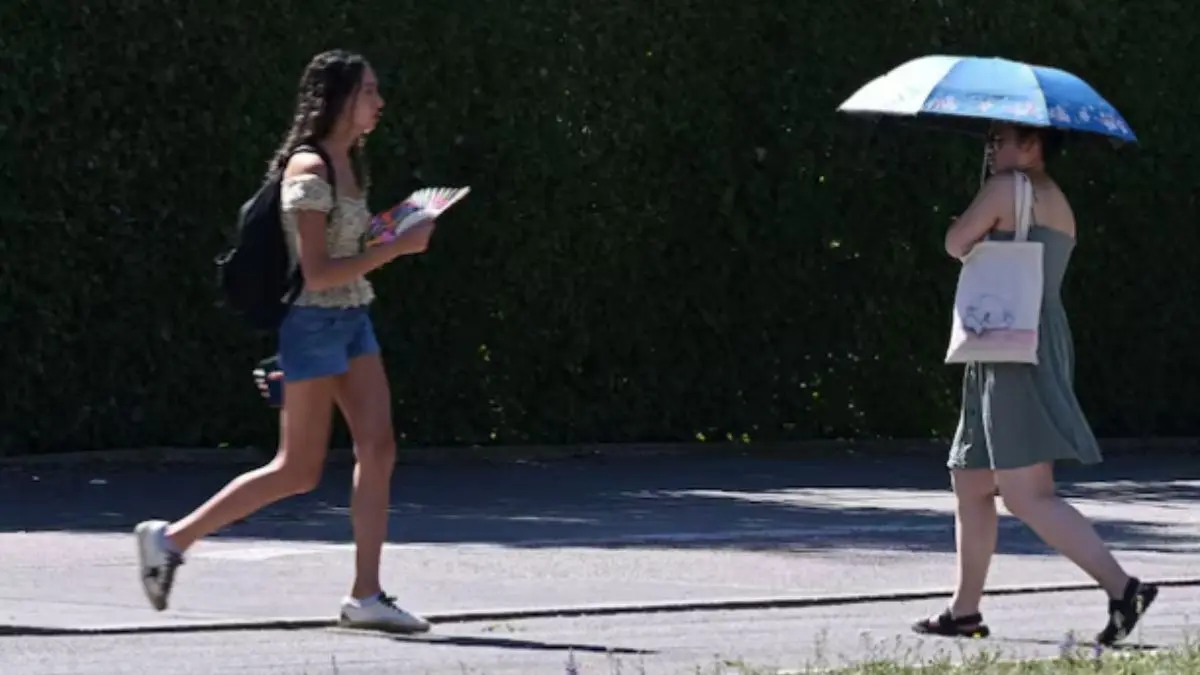 Germany Hit by Record Temperatures as Heatwave Moves East Germany Hit by Record Temperatures as Heatwave Moves East