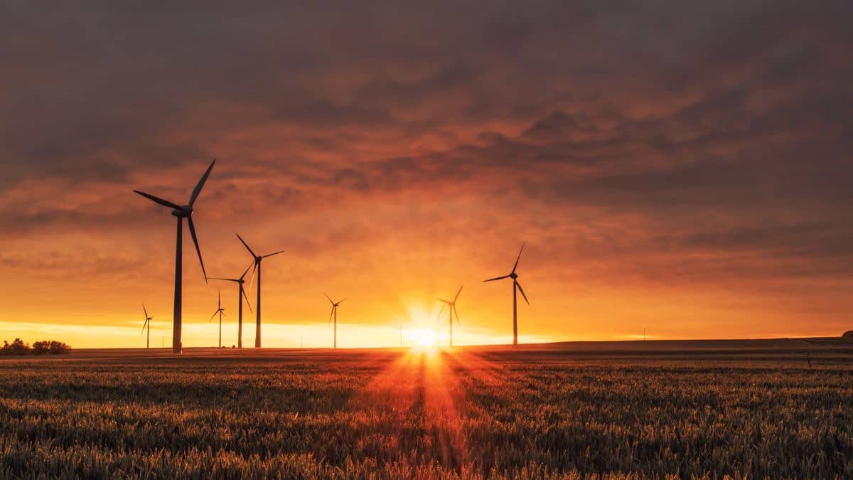 India’s Green Revenue Tops $100 Billion—Is It Asia’s New Climate Leader?