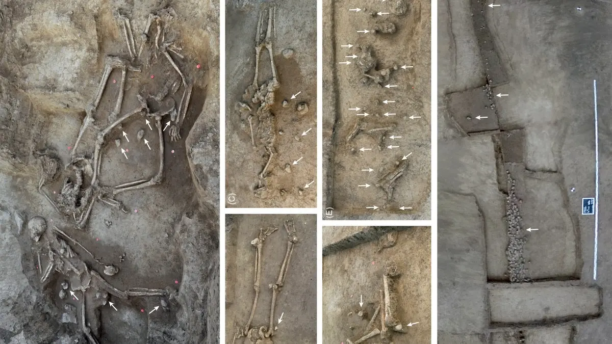 Stone Age Discovery: Why Did an Ancient European Culture Bury 77 People Without Skulls? Headless Stone Age Skeletons Discovered at 7,000-Year-Old Site in Slovakia