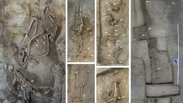 Stone Age Discovery: Why Did an Ancient European Culture Bury 77 People Without Skulls? | Republic World