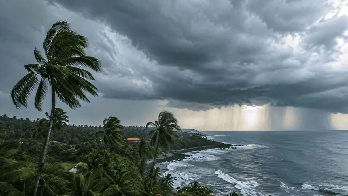Weather: केरल में आज से मानसून की एंट्री, 17 राज्यों में बारिश और तूफान का अलर्ट; जानें दिल्ली-NCR में कैसा रहेगा मौसम केरल में 12 घंटे में मानसून एंट्री