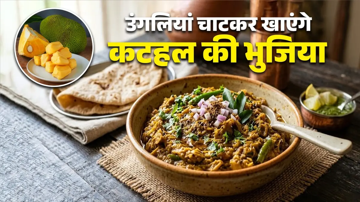 Kathal Ki Bhujiya Recipe: घर में ऐसे बनाएं कटहल की मसालेदार भुजिया, बाजार का पनीर भी जाएंगे भूल; नोट करें विधि kathal ki bhujiya recipe at home instant Indian dish sabji recipe jackfruit