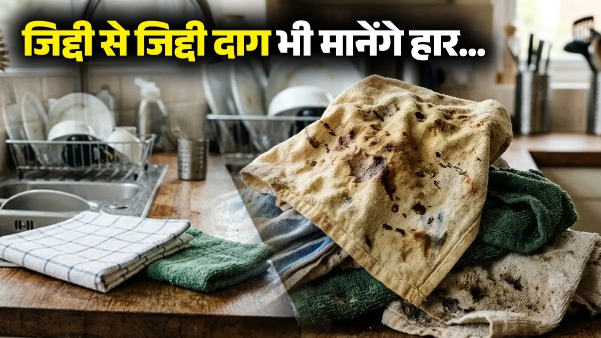 Kitchen Towels Cleaning Tips: चिपचिपी, चिकनाई और बदबू होगी छूमंतर, 5 जादुई ट्रिक्स से चमक उठेंगे आपके किचन टॉवल Kitchen Towels Cleaning Tips