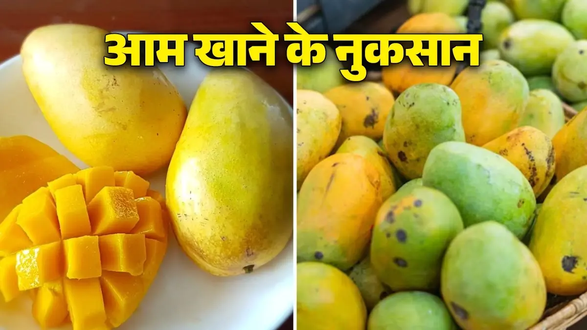 Mango Eating Tips: गर्मियों में इन लोगों को नहीं खाना चाहिए आम, फायदे की जगह हो सकता है सेहत को नुकसान mango-eating-tips-who-should-not-eat-mango-in-summer mango-eating-side-effects why avoid-eating-mangoes health tips