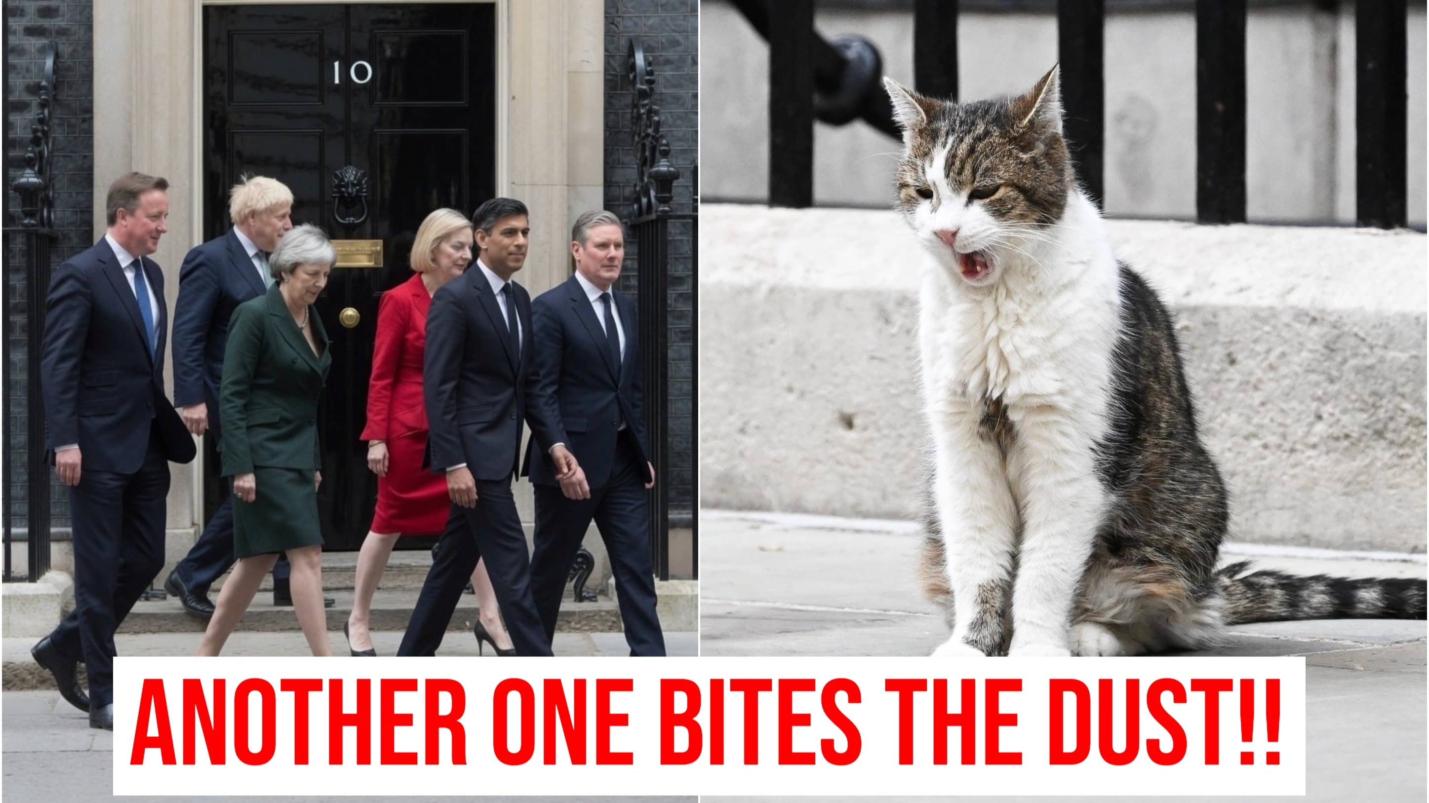 'Meow, Another One Bites The Dust': Larry The 'Stable' Cat Of 10 Downing Street Bids Farewell To Another UK PM