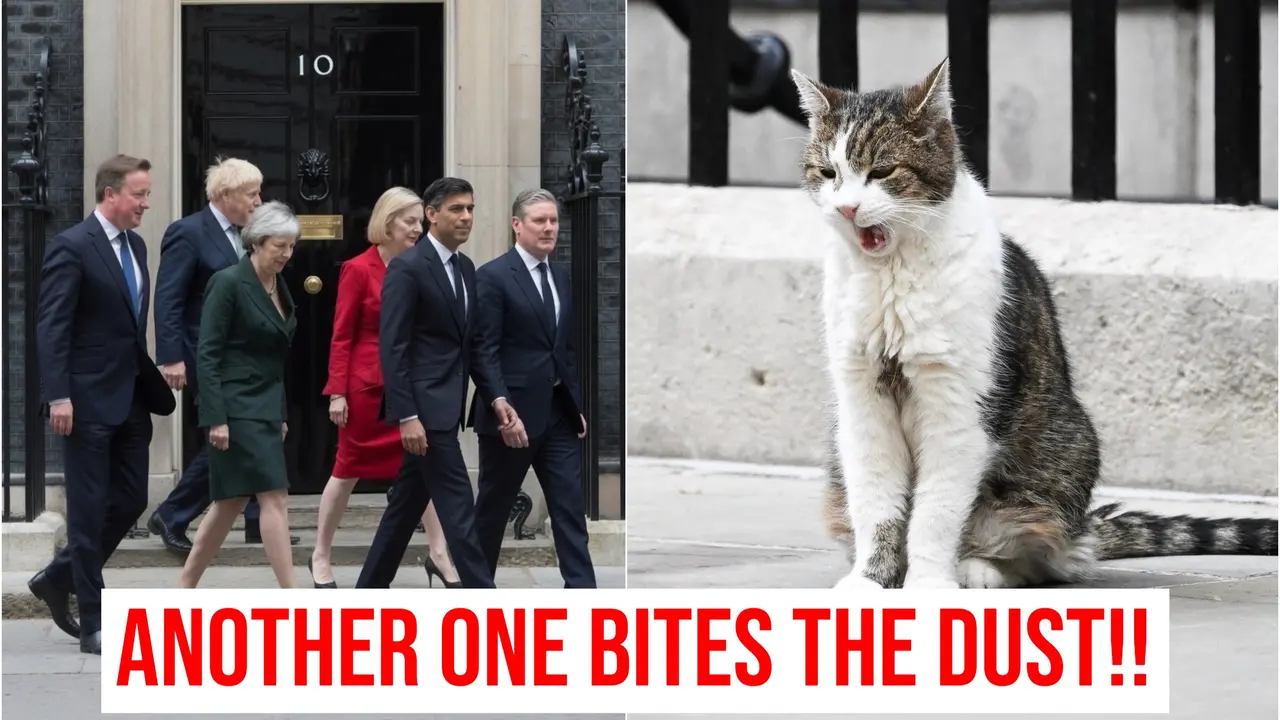 'Meow, Another One Bites The Dust': Larry The 'Stable' Cat Of 10 Downing Street Bids Farewell To Another UK PM 'Meow, Another One Bites The Dust': Larry The 'Stable' Cat Of 10 Downing Street Bids Farewell To Another UK PM