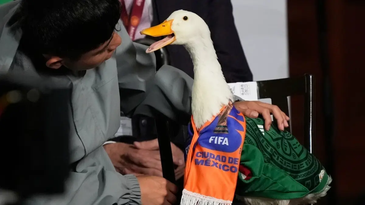 Merlín The Duck Takes a Trip to Stadium, But FIFA Rules Keep Him Out of Mexico's World Cup Match Merlín the duck